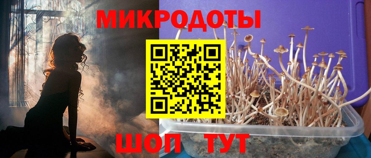 Псилоцибиновые грибы Psilocybe  Вход с VPN  Югорск 
